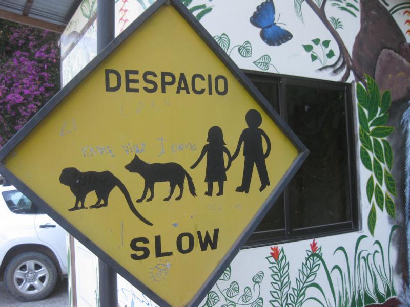 Slow down for monkeys, dogs and kids crossing